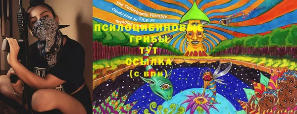 jwh Белокуриха
