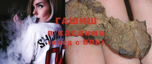 индика Богданович