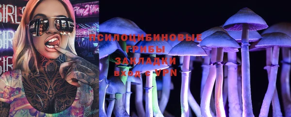 a pvp Беломорск