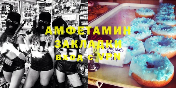 индика Богданович